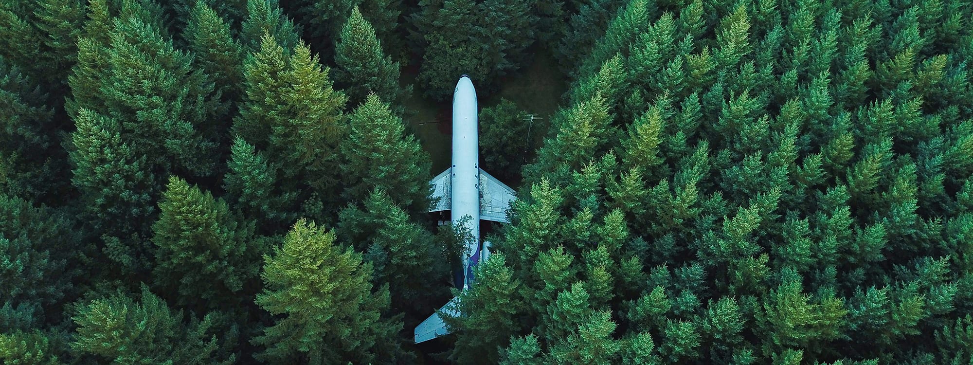 The case study of an aircraft crash in a dense forest studied during Southpac’s Aircraft Accident Investigation Course aids in improving safety performances for the industry.